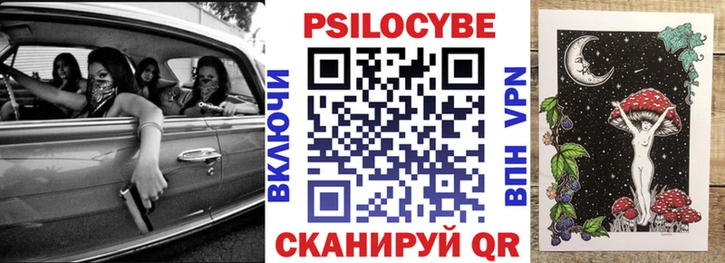мега ссылка  Темников  Псилоцибиновые грибы прущие грибы 